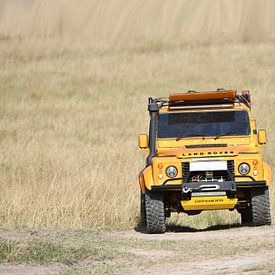Land Rover Defender en Afrique sur Robert Styppa