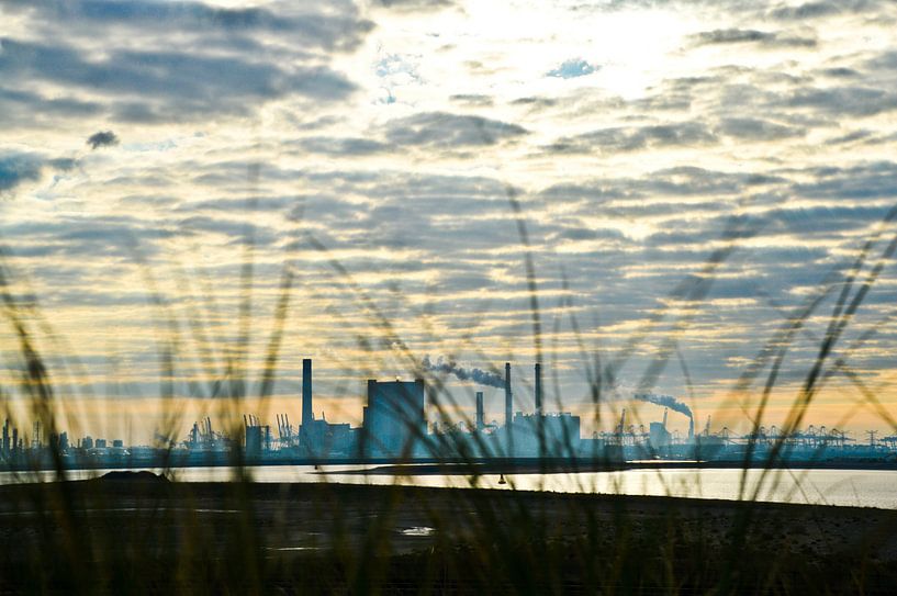 Industrie an der Maasvlakte 2 von Marieke van der Hoek-Vijfvinkel