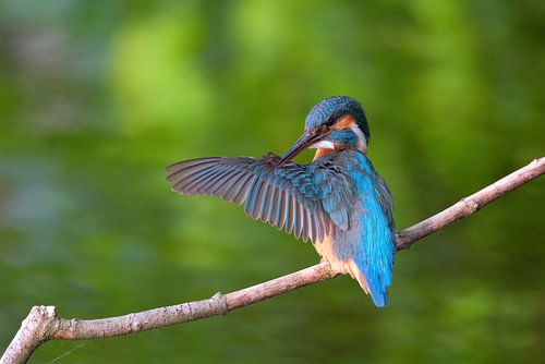 As long as your springs are right