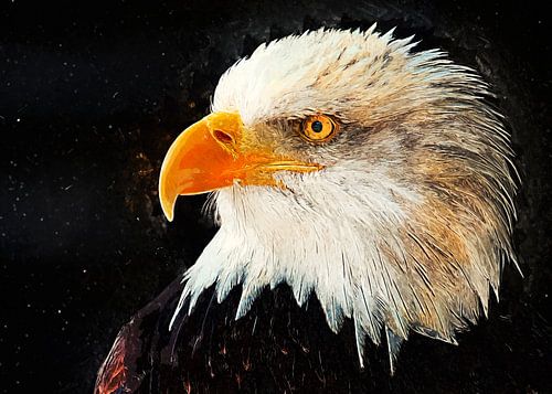 Adelaarskunst #eagle