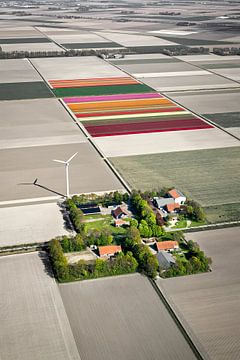 Luchtfoto van boerderijen en tulpenvelden van Frans Lemmens