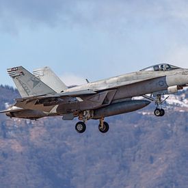 Boeing F/A-18E Super Hornet der U.S. Navy in Aviano. von Jaap van den Berg