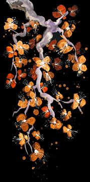 Orange Blüten in der Nacht von Sebastian Grafmann