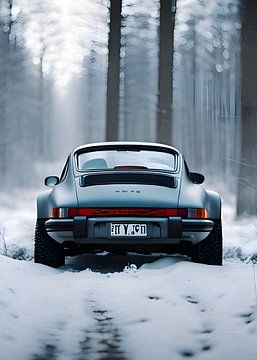 Porsche 911 van Leader Fc