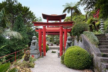 Japanese garden on maadeira island with pagoda