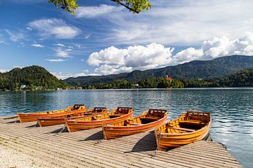 Boote in Bled von Louise Poortvliet