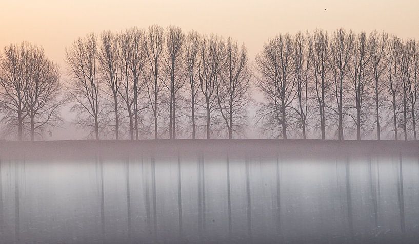 Trees with reflection in natural tones by natascha verbij