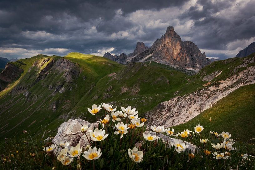 at the Giau Pass in the Dolomites by Alex Neumayer
