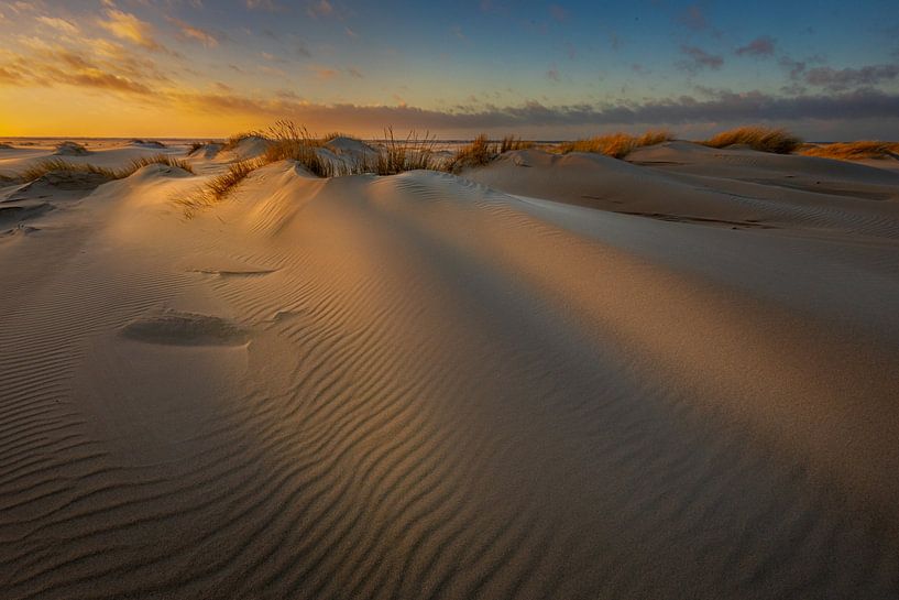 Sonnenuntergang in den Dünen von Andy Luberti