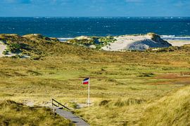 Landschaft mit Dünen auf der Insel Amrum sur Rico Ködder