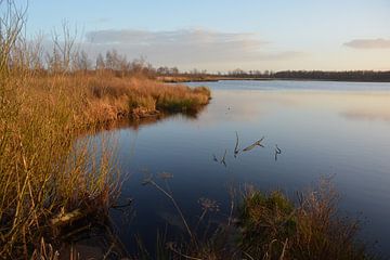 Nationaal park De Groote Peel van Hans Janssen