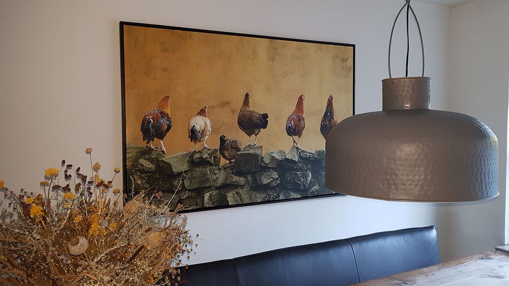 6 Hühner in einer Reihe von Cocky Anderson