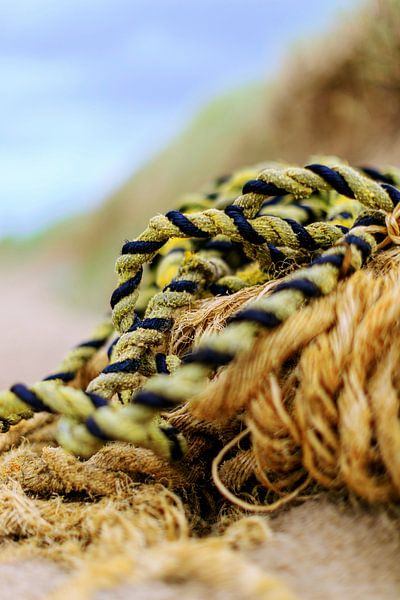 Egmond aan Zee - Aangespoeld touw wordt kunst van Dan Photo Shaman
