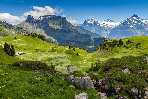 Majestätische Alpenkulisse