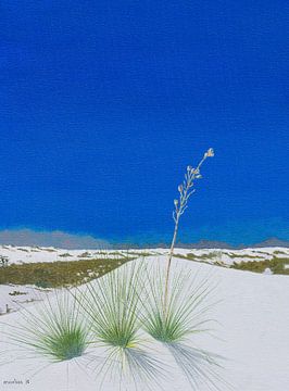 White Sands National Monument, New Mexico, USA. Acrylic painting by Marlies Huijzer
