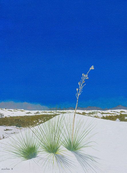 White Sands National Monument, Nouveau-Mexique, États-Unis. Peinture acrylique de Marlies Huijzer par Martin Stevens