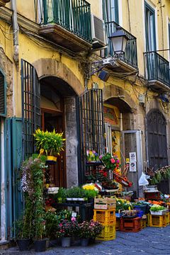 Italiaanse bloemenwinkel van Maaike Hartgers