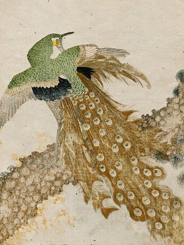 Japanischer grüner Pfau auf einem Felsen im Ukiyo-e-Stil von Studio Pieternel