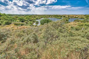 Paysage de dunes de Meijendel sur eric van der eijk