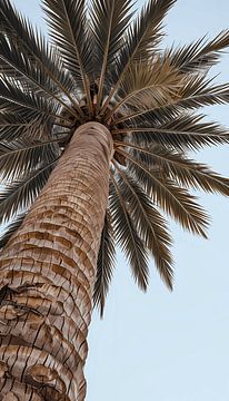 Reaching for the Algerian Sky by Artistic