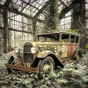 Lost Place historisch Oldtimer verrostet vergessen Gewächshaus
