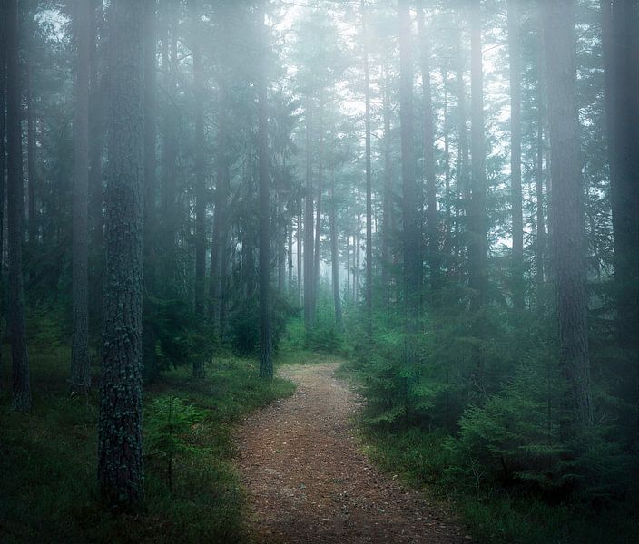 La forêt des secrets, Christian Lindsten par 1x