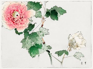 Pioenboom door Watanabe Seitei. Japans schilderij van Dina Dankers