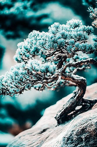 Gedetailleerde bonsai boom kunstwerk