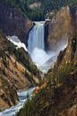 Lower Falls in Yellowstone NP, Wyoming, USA van Henk Meijer Photography thumbnail