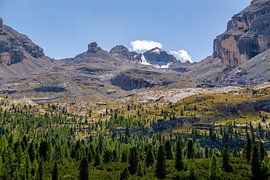 Far view from the forest to the high mountains in the Dolomites by Leo Schindzielorz