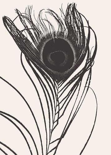 Japanse pauwenveer monochroom