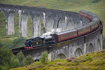Harry Potters Zweinstein Express over het Glenfinnan viaduct in Schotland van Lex van den Bosch