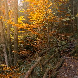 Bestemming van Geert Van Baelen