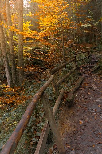 Destination by Geert Van Baelen