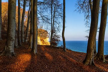Kreidefelsen im Herbst an der Küste der Ostsee auf der Insel R von Rico Ködder