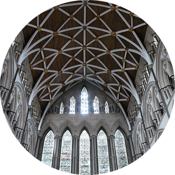 De Engelse Kathedraal van christine b-b müller