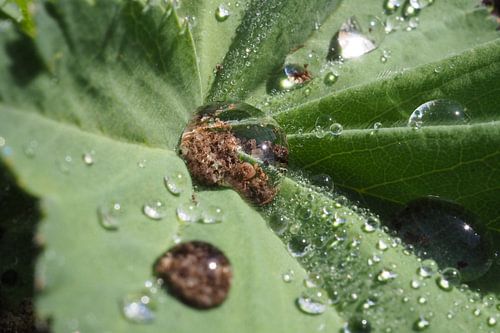 Een waterdruppel met zand op een vrouwenmantel