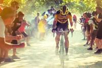 Wout van Aert wins the Strade Bianche