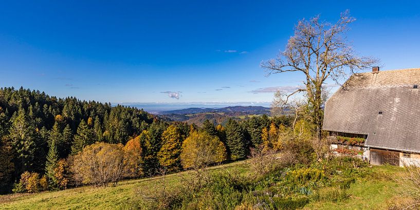 Schwarzwaldhaus in Thurner in het Zwarte Woud van Werner Dieterich