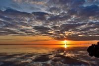 Summer sunrise