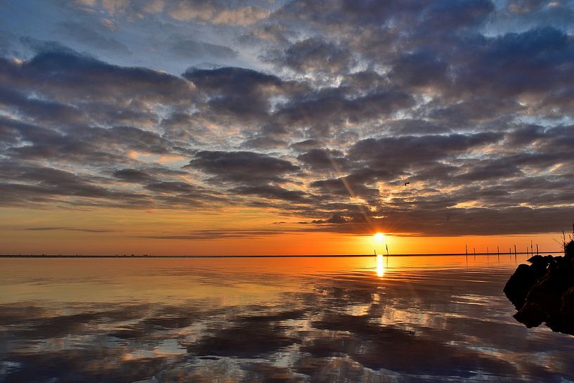 Zomerse zonsopkomst van Patrick Hartog