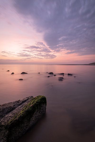 So beautiful by Judith Veenstra