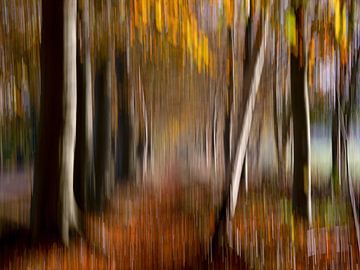 HERFST van Jeannet Zwols  Fotografie