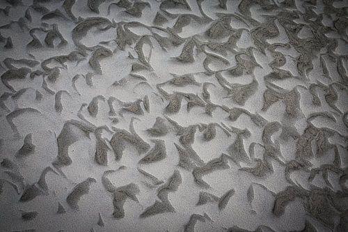 am Strand festgemacht