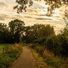 Slingerend pad in het avondlicht van Freek Wolsink