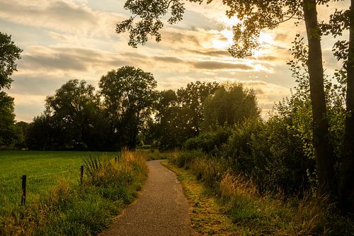 Winding path in the evening light