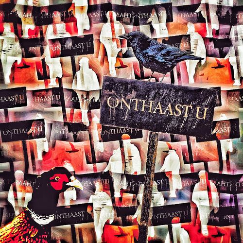 Kraai op bord met 'onthaast u, tijdens een demonstratie