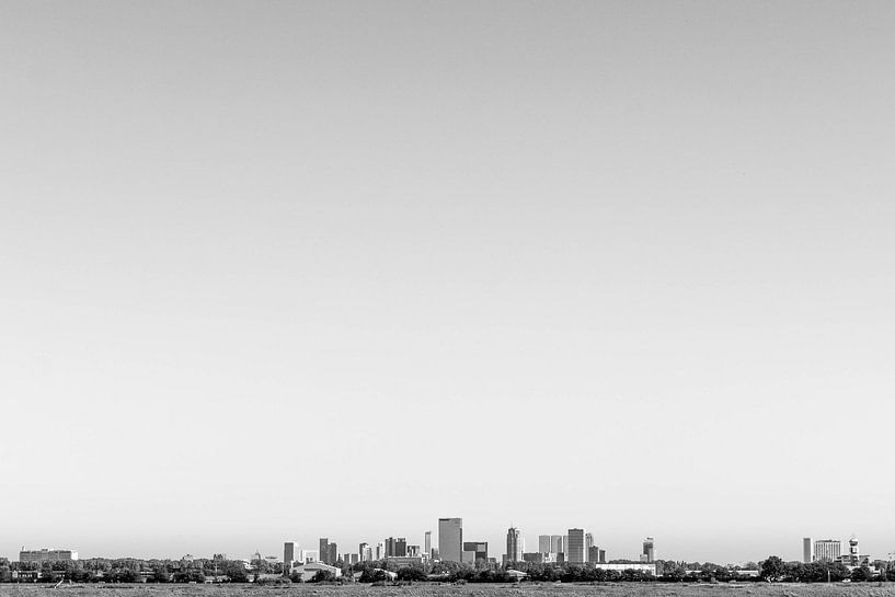 Skyline van Rotterdam van Peter Hooijmeijer