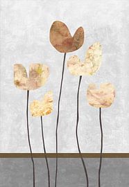 Tulips by Angel Estevez