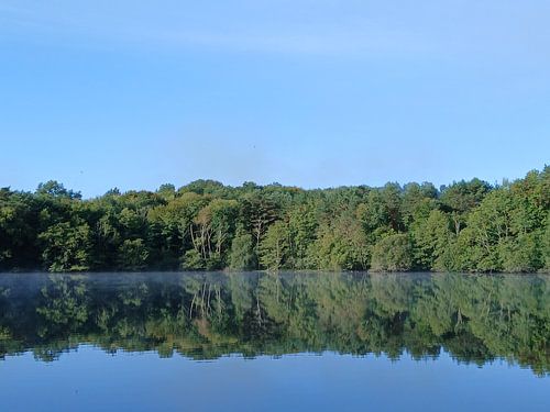 Bäume spiegeln sich im See